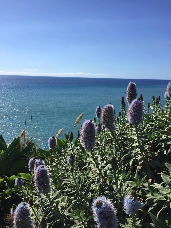 Calheta Ocean View Family Apartment - Air Condition Estreito Da Calheta المظهر الخارجي الصورة